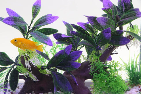 AQUA KT Aquarium Landscape Simulation Artificial Plant Purple, Plastic Plant for Fish Tank Decoration, Aquatic Water Plant, Fish Bowl Ornament...