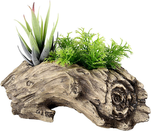 Succulent Planters Driftwood Planter Succulent Pots Small Plant Flower Cactus Pots Tree Stumb Wood Planter with Drainage Hole...