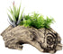 Succulent Planters Driftwood Planter Succulent Pots Small Plant Flower Cactus Pots Tree Stumb Wood Planter with Drainage Hole...