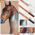 Geyoga 36 Pcs Professional Charcoal Pencils Extra soft, Soft, Medium, Hard, White, Brown for Drawing Charcoal Pencils Drawing Set Pastel Pencils A...