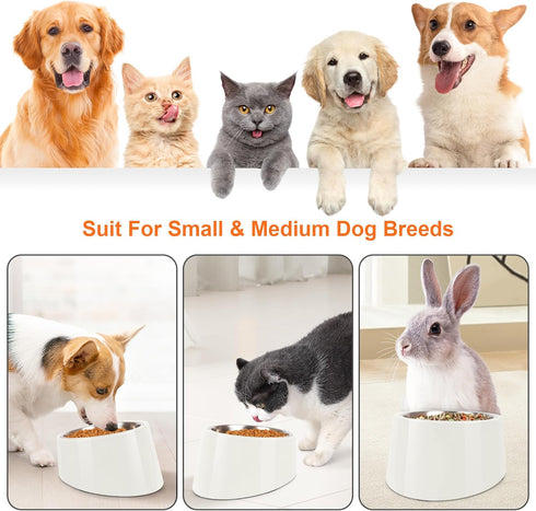 Tilted Angle Dog Bowl, 15° Slanted Stainless Steel Dog Cat Food Bowl, Non-Slip & Non-Spill Pet Feeder with Elevated Detachable Melamine Stand, Eas...