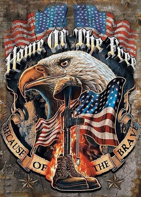 ARAZADR DIY Stamped Cross Stitch Painting Eagle and Flag by Number Kits for Beginners Kids and Adults 3 Strands 11CT DIY Printed Cross-Stitch Star...