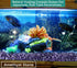 MAIBAOTA Natural Amethyst Crystal Quartz Rocks Chips Vase Filler Rocks for Succulent Plant Small Fish Tank Aquarium Gravel Decorative Pebbles Ston...