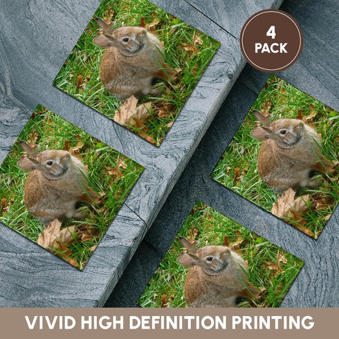 3dRose Bunny Rabbit in Autumn - Ceramic Tile Coasters, Set of 4 (CST_97867_3)...