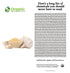 Organic Garlic Powder | 8 oz (226g) | USDA Organics and Non-GMO Verified Project Approved | Product of India | 100% Raw and Natural | Resealable K...