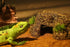 AQUA KT Reptile Cave Hide Natural Hiding Place for Terrarium Amphibian Lizard Snake Bearded Dragon Frog Leopard Terrestrial Gecko Cave...