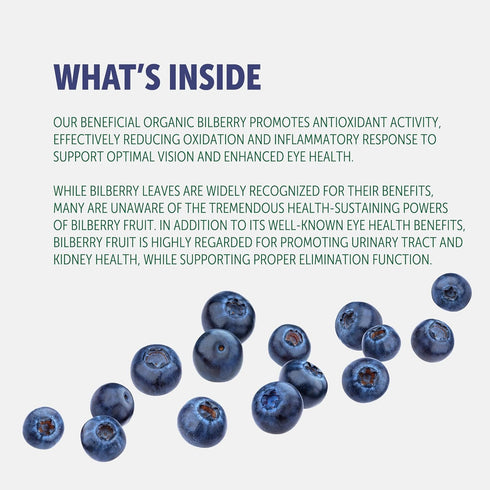 Bilberry Extract Capsules 5000mg | 200 Count | Supports Eye Health | Ultra Strength Supplement | Gluten-Free & Non-GMO...