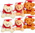 Sumind 6 Pieces Graduation Bears Class of 2024 Graduation Plush Bears Bulk Stuffed Animal Bears with Cap for Kindergarten Primary School College H...