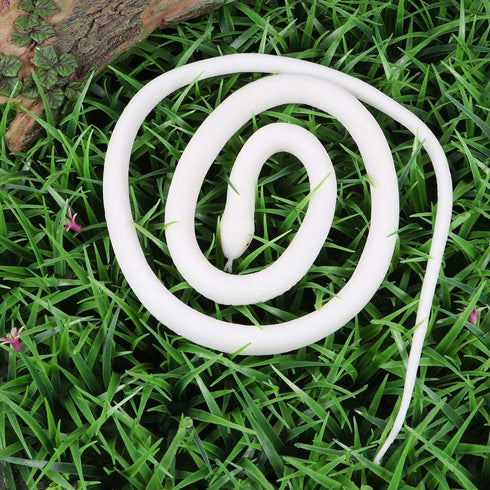 TOYANDONA Rubber Snake Realistic Rubber Snake Toy White Fake Lifelike Snake Educational Toys for Kids Prank Prop Halloween Party Decor...