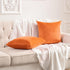 FY FIBER HOUSE Pack of 2 Velvet Throw Pillow Covers Decorative Square Pillowcase Soft Solid Cushion Case for Sofa/Couch Use, 16 x 16 Inch Orange...