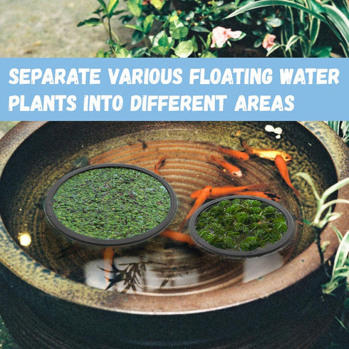 5 Pcs Aquarium Floating Plant Corral,5 Sizes of Aquarium Floating Plant Ring, Aquarium Feeding Ring for Intercepts Floating Plants, Fish Feeding R...