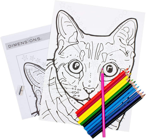 Dimensions Cat, PencilWorks Color by Numbers Kit for Adults and Kids, 9'' x 12'...