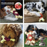 Dog Toys for Aggressive Chewers Indestructible Dog Toys, Durable Tough Dog Chew Toys for Medium and Large Large Breed Dogs?Dog Toys to Keep Them B...