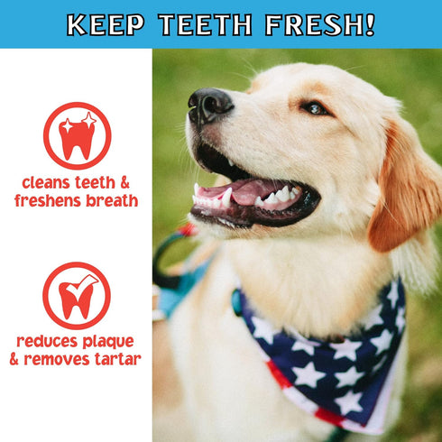 Pet Factory Twistedz American Beefhide 5" Twist Sticks Dog Chew Treats w/ Real Beef Meat Wrap - 20 Count/1 Pack...