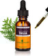 Herb Pharm Thuja Branchlet Liquid Extract - 1 Ounce (DTHUJA01)...
