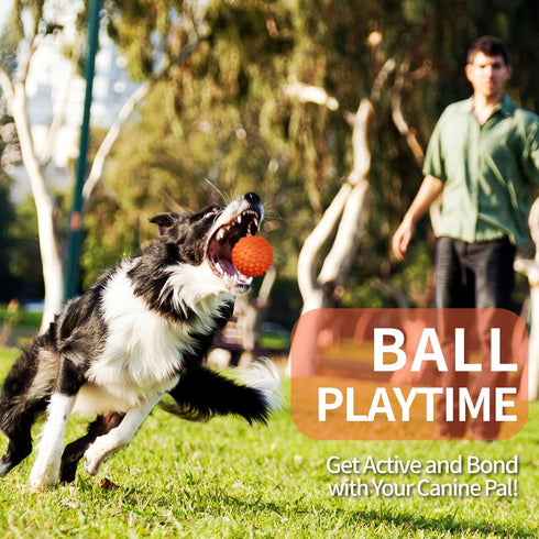 Apasiri Dog Balls for Aggressive Chewers, Dog Toys for Aggressive Chewers, Squeaky Balls for Dogs, Dog Balls, Dog Toys for Aggressive Chewers Larg...