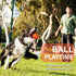 Apasiri Dog Balls for Aggressive Chewers, Dog Toys for Aggressive Chewers, Squeaky Balls for Dogs, Dog Balls, Dog Toys for Aggressive Chewers Larg...