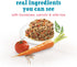 Purina Beneful Small Breed Wet Dog Food with Gravy, IncrediBites with Real Salmon - (Pack of 12) 3 oz. Cans...