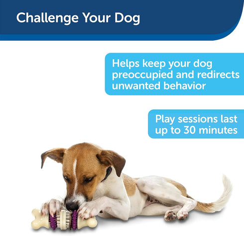 PetSafe Busy Buddy Bristle Bone - Treat-Holding Toy for Dogs - Treat Rings Included - Treats Thoroughly Mixed During Bake to Prevent Choking - Rig...