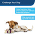 PetSafe Busy Buddy Bristle Bone - Treat-Holding Toy for Dogs - Treat Rings Included - Treats Thoroughly Mixed During Bake to Prevent Choking - Rig...