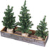 Winlyn 3 Pack Mini Canadian Pine Trees with Wood Bases Artificial Miniature Christmas Trees and Rustic Planter for Holiday Season Tabletop Decorat...