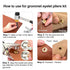 1203PCS Grommet Eyelet Pliers Tool Kit, 1/4 Inch Fabric Leather Hole Eyelets Grommets Punch Pliers, for Fabric, Leather, Belt, Shoes, Clothes...