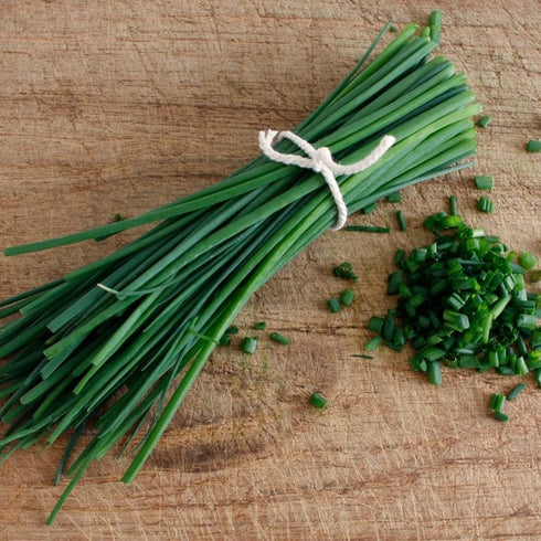 Chives Seeds Allium Schoenoprasum Herbaceous Perennial Culinary Attracts Pollinators Rich in Vitamins A and C for Cooking Vegetable Garden Outdoor...