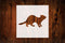 4-Inch Ferret Style Design Stencil, Reusable Mylar Cutout, for Sign Art, Crafts & DIY Projects...