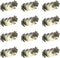 Beistle S66648AZ12 Foil Roman Laurel Wreaths 12 Piece, OSFM, Gold...