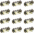 Beistle S66648AZ12 Foil Roman Laurel Wreaths 12 Piece, OSFM, Gold...