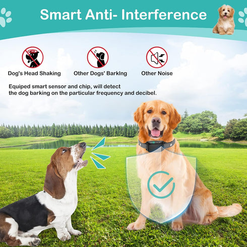 Dog Bark Collar-NOUGAT Rechargeable Smart Anti-Barking Collar, 8 Adjustable Sensitivity Beeping Vibrating Shock Beeps, Anti-Barking Collar for Sma...
