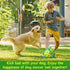 Dog Toys Soccer Ball - Durable Dog Balls with Strap for Medium Small Dogs, Puppy Birthday Gifts, Dog Tug Toy for Tug of War (8 Inch)...