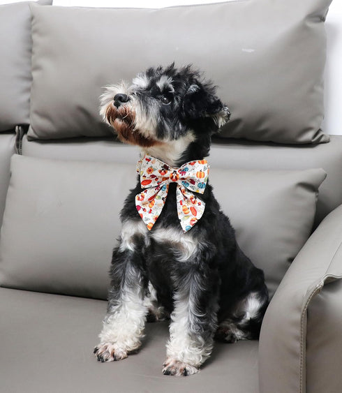 Unique Style Paws Cotton Dog Collar with Bow Halloween Pumpkin Plaid Dog Collar with Bow Tie for Small Medium Large Dogs Pets Gifts...