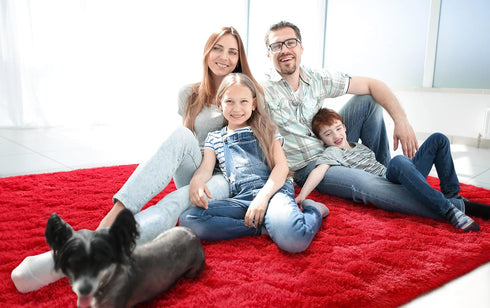 LOCHAS Ultra Soft Indoor Modern Area Rugs Fluffy Living Room Carpets for Children Bedroom Home Decor Nursery Rug 3x5 Feet, Red...