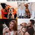 Compatible with Airtag Dog Collar, Adjustable Air Tag Dog Collar with Durable Quick Snap Buckle, Imitation Nylon Dog Collar with Waterproof Apple ...