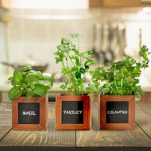 ZESTIGREENS Indoor Herb Pots for Herbs, Succulents, or Small Plants. 3 x Indoor Plant pots with Waterproof Liner Included....