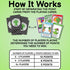 What's The Point? - The Cactus Card Game...