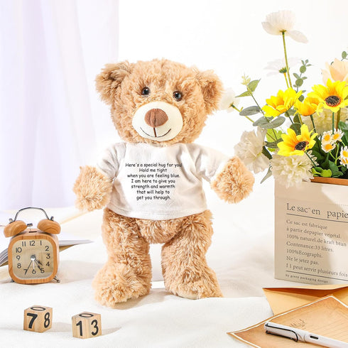 A Bear Hug Gift Get Well Soon Bear Gift Plush Stuffed Animal Bear Hug Thinking of You Sympathy Gift for Women Kids Condolences Memorial Loved(Khak...
