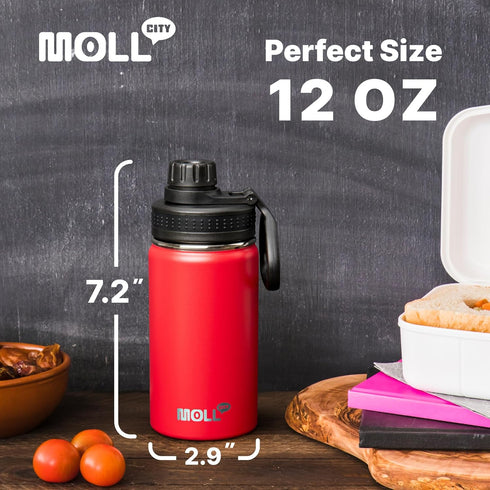 Kids Water Bottle with Spout Lid-12 oz Small Insulated Sports Water Flask for School-Reuasble Stainless Steel Vacuum Travle Leak Proof Water Bottl...