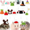 12 Pcs Hamster Hat Mini Hats for Snakes Small Animals Guinea Pig Hat Hamster Clothes Cute Tiny Rat Hat for Snakes Pets Lizards Hamsters Bearded Dr...