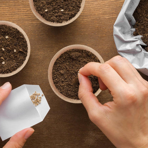 GROWNEER 50 Packs 3 Inch Peat Pots Plant Starters for Seedling with 15 Pcs Plant Labels, Biodegradable Herb Seed Starter Pots Kits, Garden Germina...