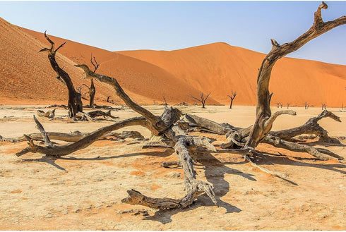 Sun and Desert Terrarium Background Blue Orange Sand Reptile Habitat Background Amazing Dead Tree Aquarium Decor Background Durable Polyester Viny...