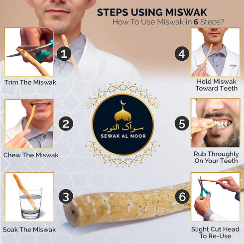 Pack of 5 Miswak Sticks for Teeth with Holder - Vacuum Sealed Natural Flavored Chew Sticks for Humans - Natural Toothbrush for Teeth Whitening, Or...