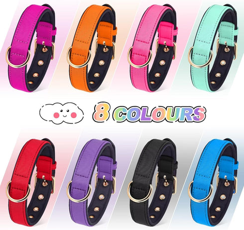 Didog Waterproof Dog Collar with Soft Padded, Strong Dog Collars with Metal Buckle, Lightweight and Breathable Dog Collars for Medium Dogs, Green,...