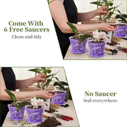 5 Inch 6 Pack Orchid Pot with Holes and Saucers Clear Orchid Pot?Purple Amethyst?...