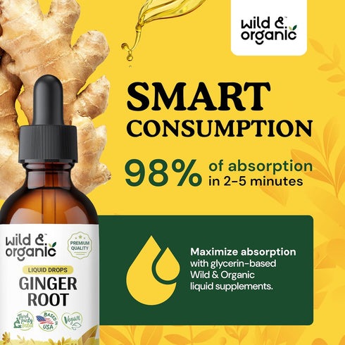 Ginger Liquid Extract - Organic Ginger Root Drops - Ginger Supplements for Digestive Support - Vegan, Alcohol Free Tincture - 2 fl oz...