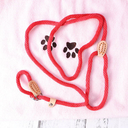 POPETPOP Nylon Dog Slip Training Leash Collar Rope for Pets Training (Red)...