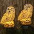 Dazzle Bright Owl Figure Solar LED Lights, Resin Garden Waterproof Decorations with Stake for Outdoor Yard Pathway Outside Patio Lawn Decor to Sca...
