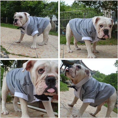 Lovelonglong Pet Costume Dog Suit Formal Tuxedo with Black Bow Tie for Small Dogs Pug Clothing Gray XL...