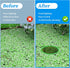 5pcs Aquarium Floating Plant Rings, Foam Floaters Plant Corral Fish Feeding Ring Aquarium Feeding Ring, for Intercepts Floating Plants(Green)...